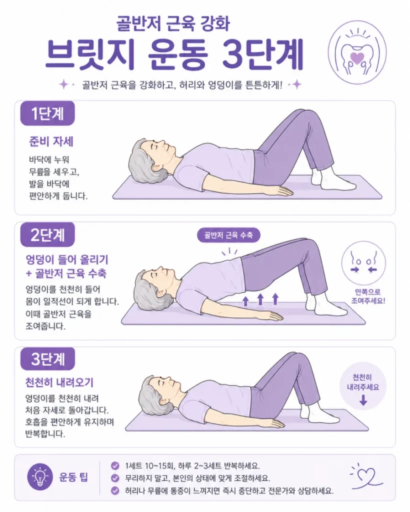 노인 브릿지 자세 골반저근 운동 3단계 동작 순서 안내