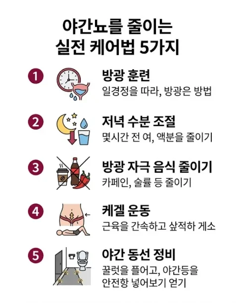 노인 과민성 방광 야간뇨 줄이는 실전 케어법 5가지 방광훈련 수분조절 인포그래픽