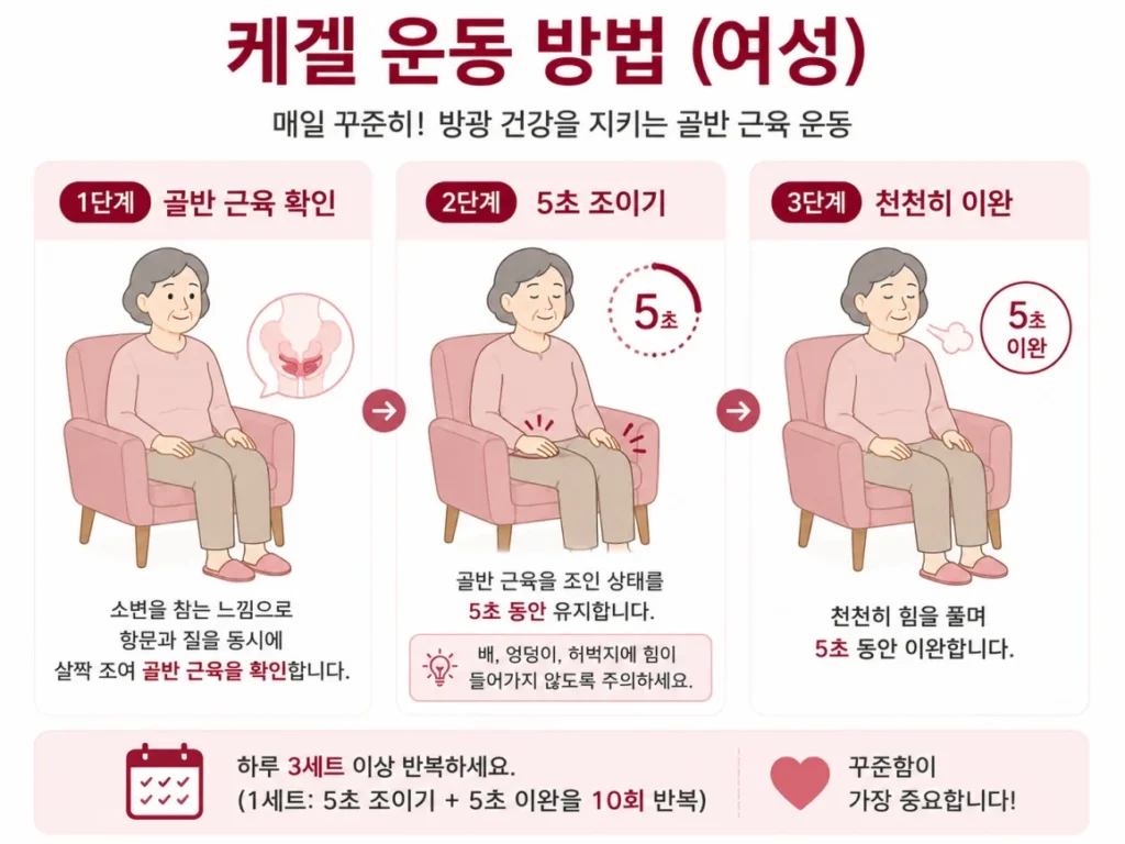 노인 케겔 운동 골반저근 강화 방법 단계별 일러스트
