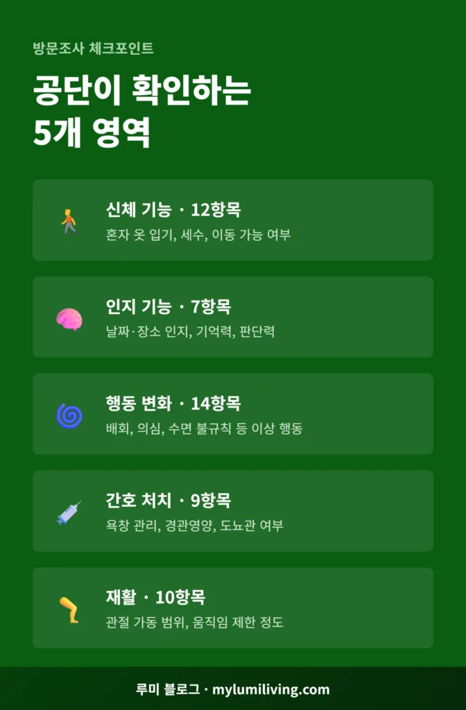 방문조사 5개 영역 항목 정리 인포그래픽