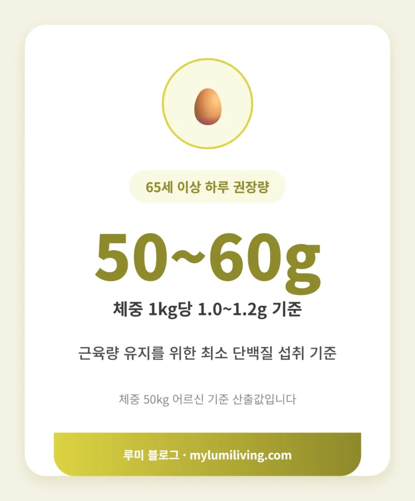 고령기 단백질 권장 섭취량 인포그래픽