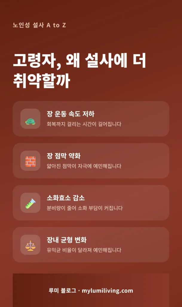 노화에 따른 장 기능 변화 인포그래픽