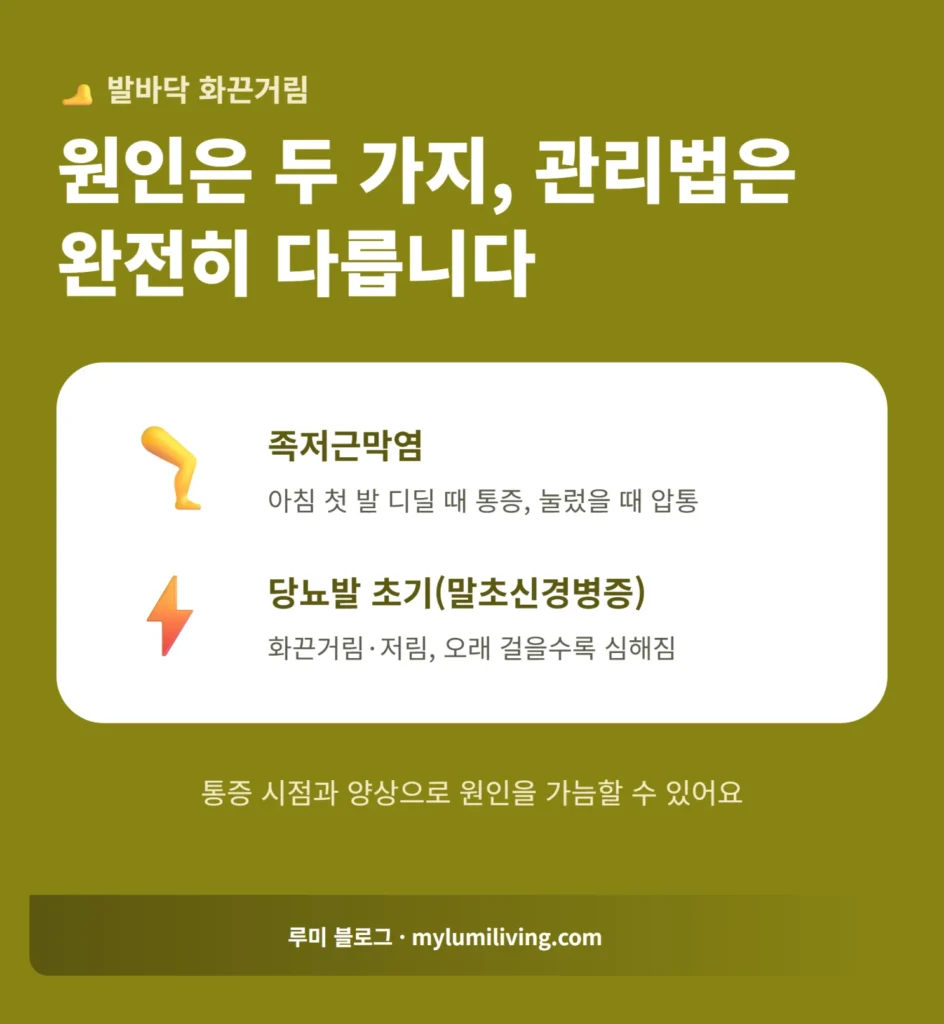 발바닥 화끈거림 원인 두가지 비교 인포그래픽