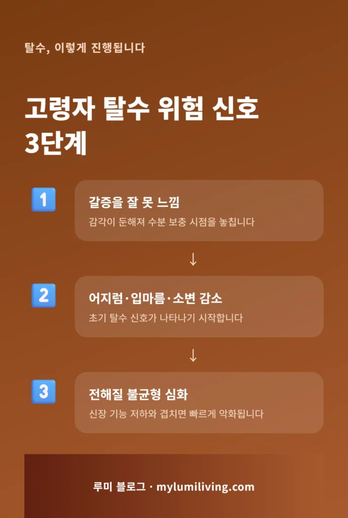 고령자 탈수 위험 신호 단계별 인포그래픽