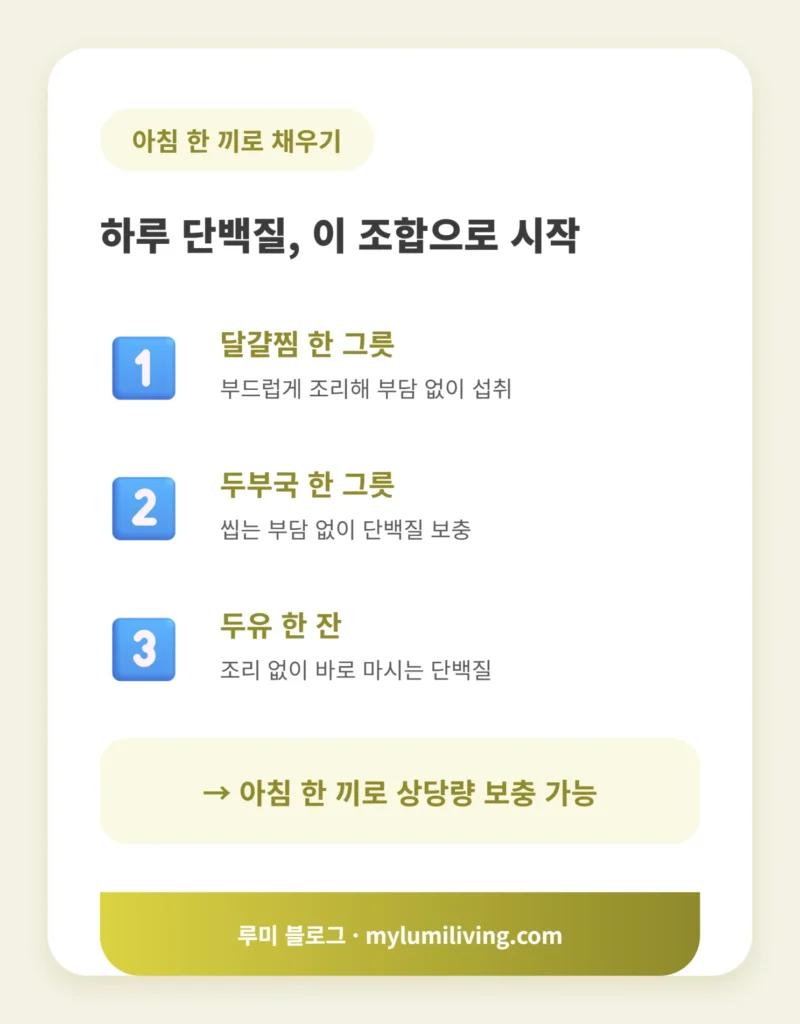 하루 한 끼 단백질 조합 인포그래픽