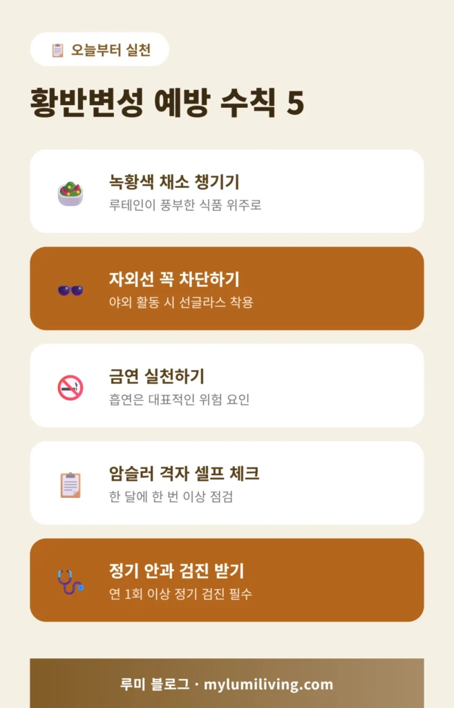 황반변성 자가진단과 예방 수칙 요약 인포그래픽