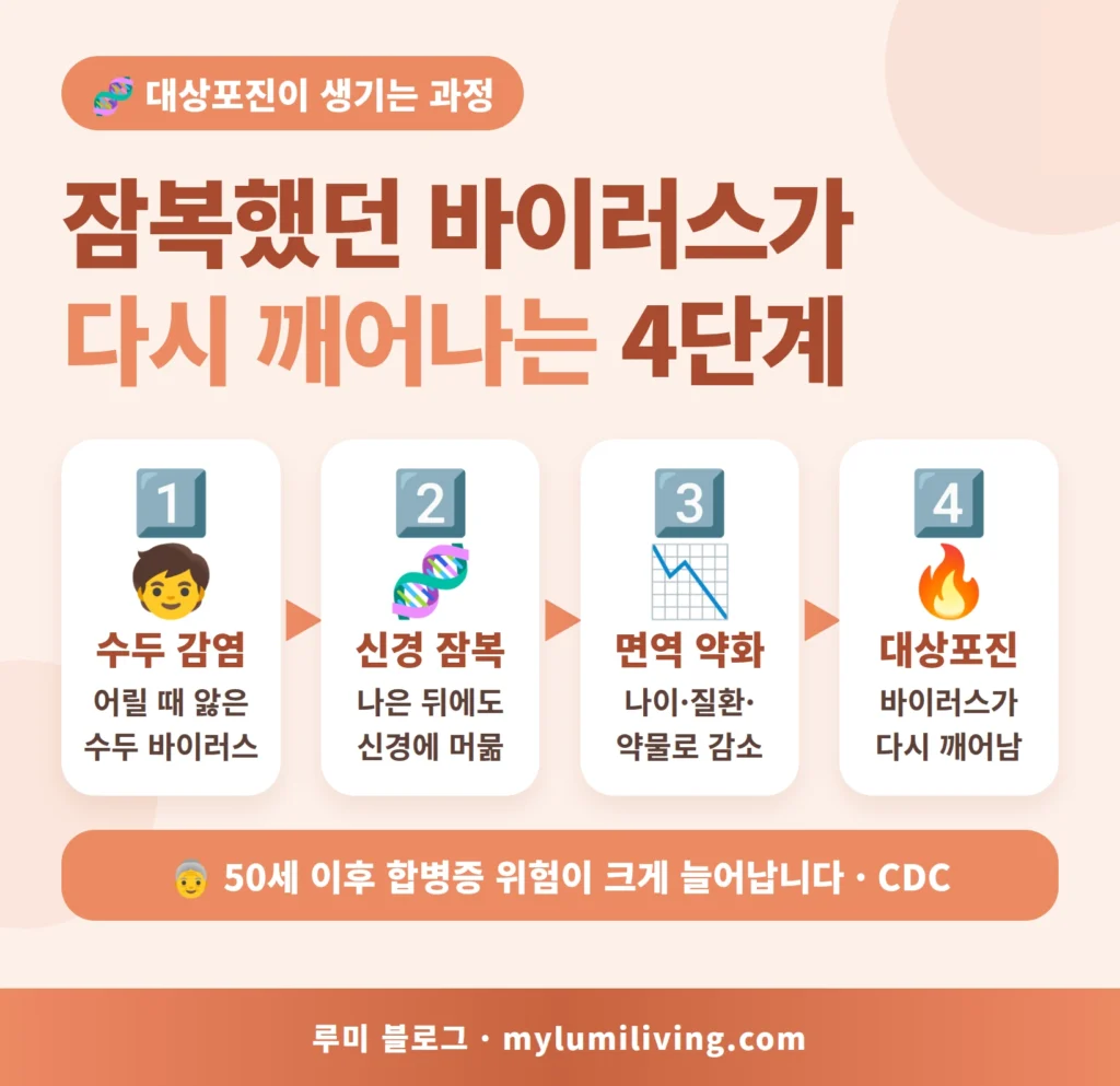 수두 바이러스가 대상포진으로 이어지는 4단계 과정 인포그래픽