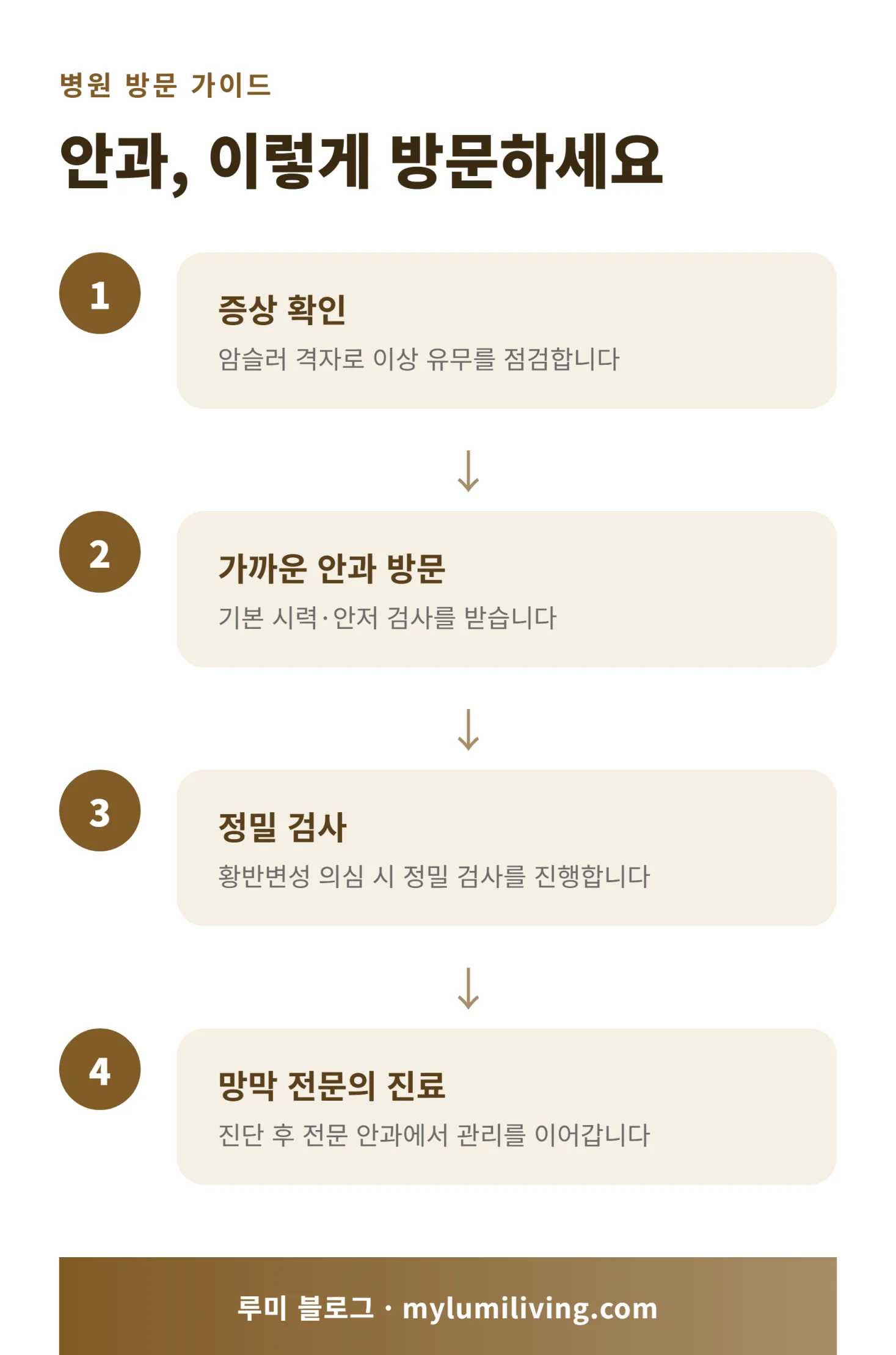 안과 방문부터 망막 전문의 진료까지 단계별 절차 인포그래픽