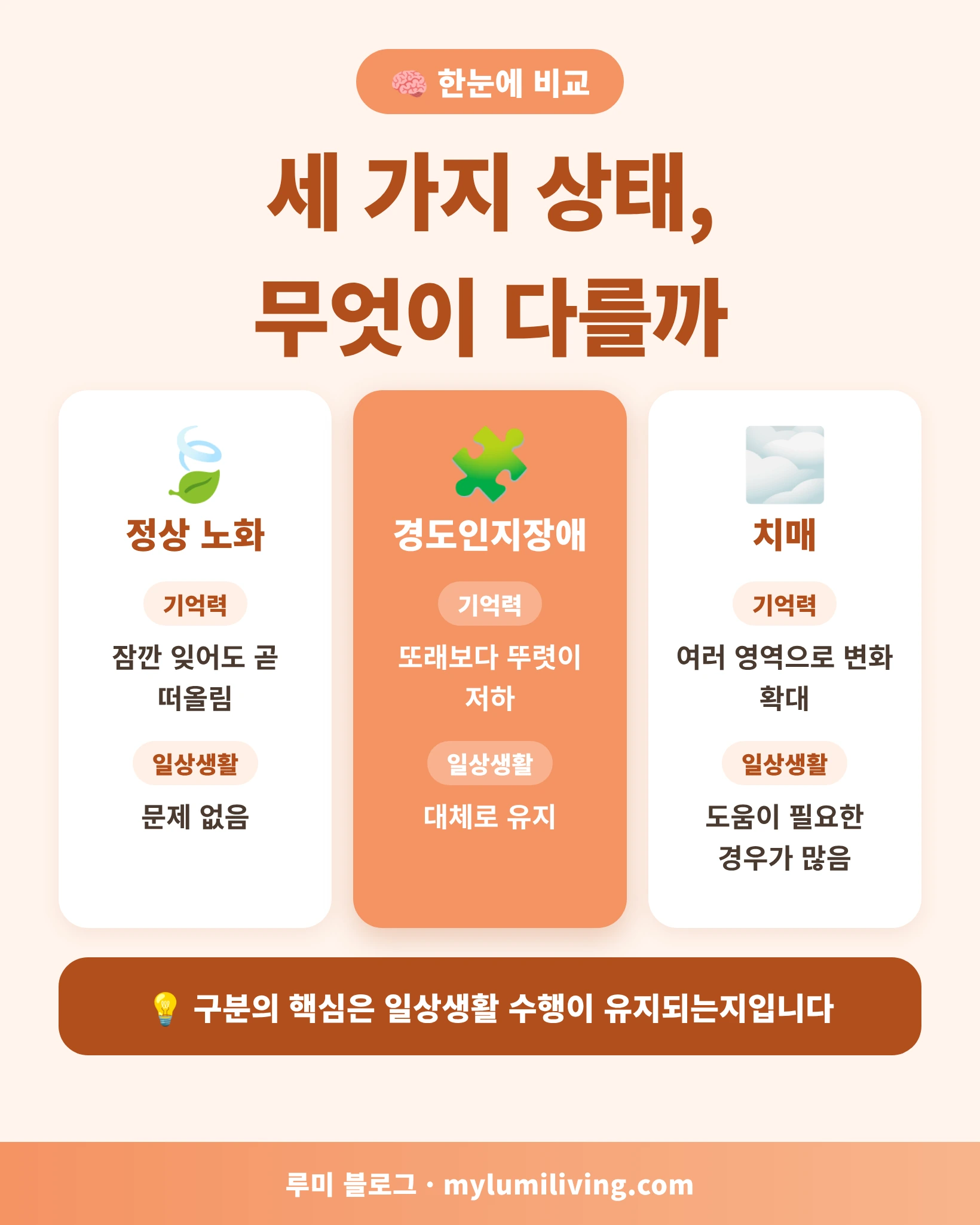 정상 노화, 경도인지장애, 치매 비교 인포그래픽