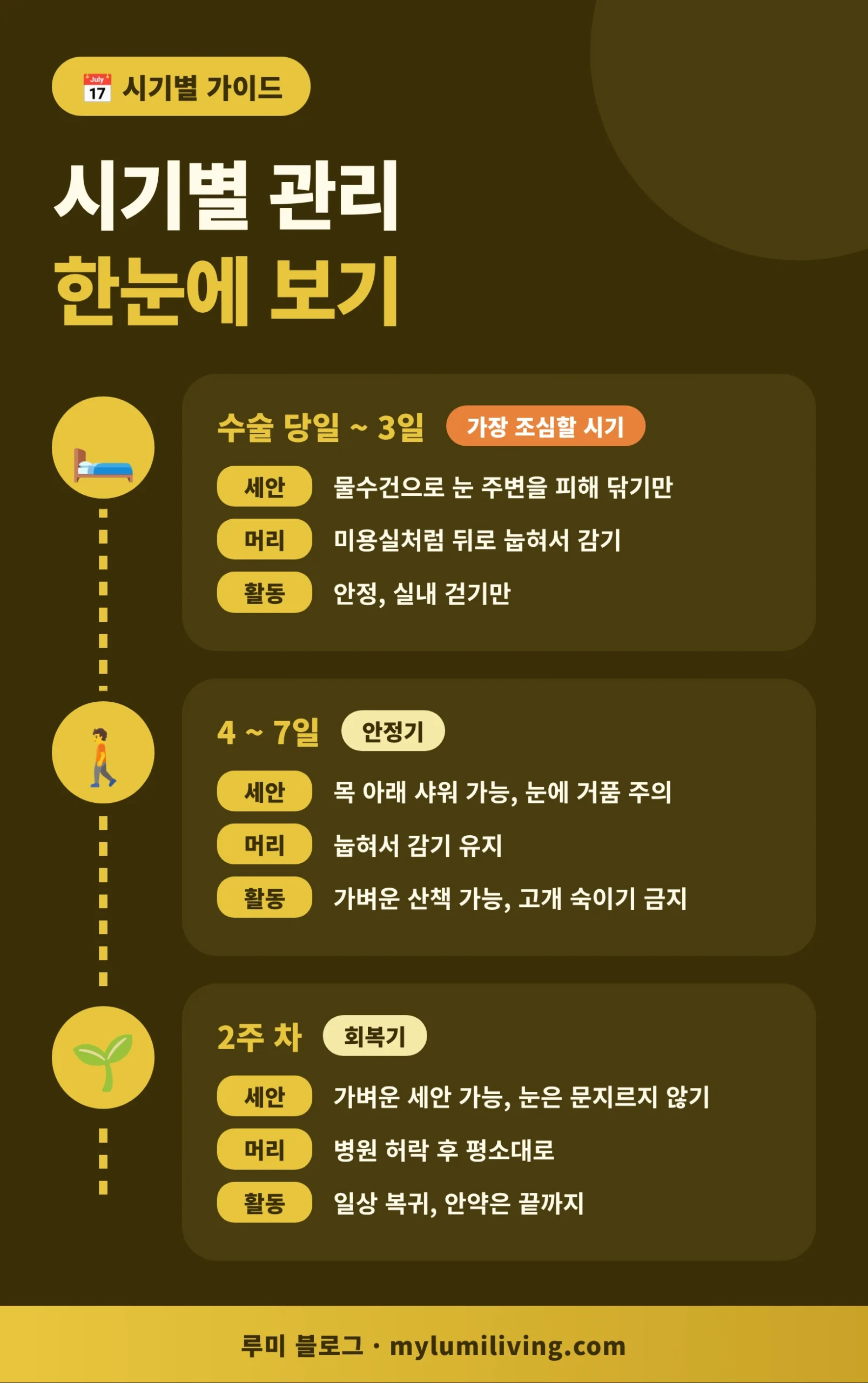 백내장 수술 후 시기별 관리 타임라인 인포그래픽 - 당일부터 3일, 4일부터 7일, 2주 차