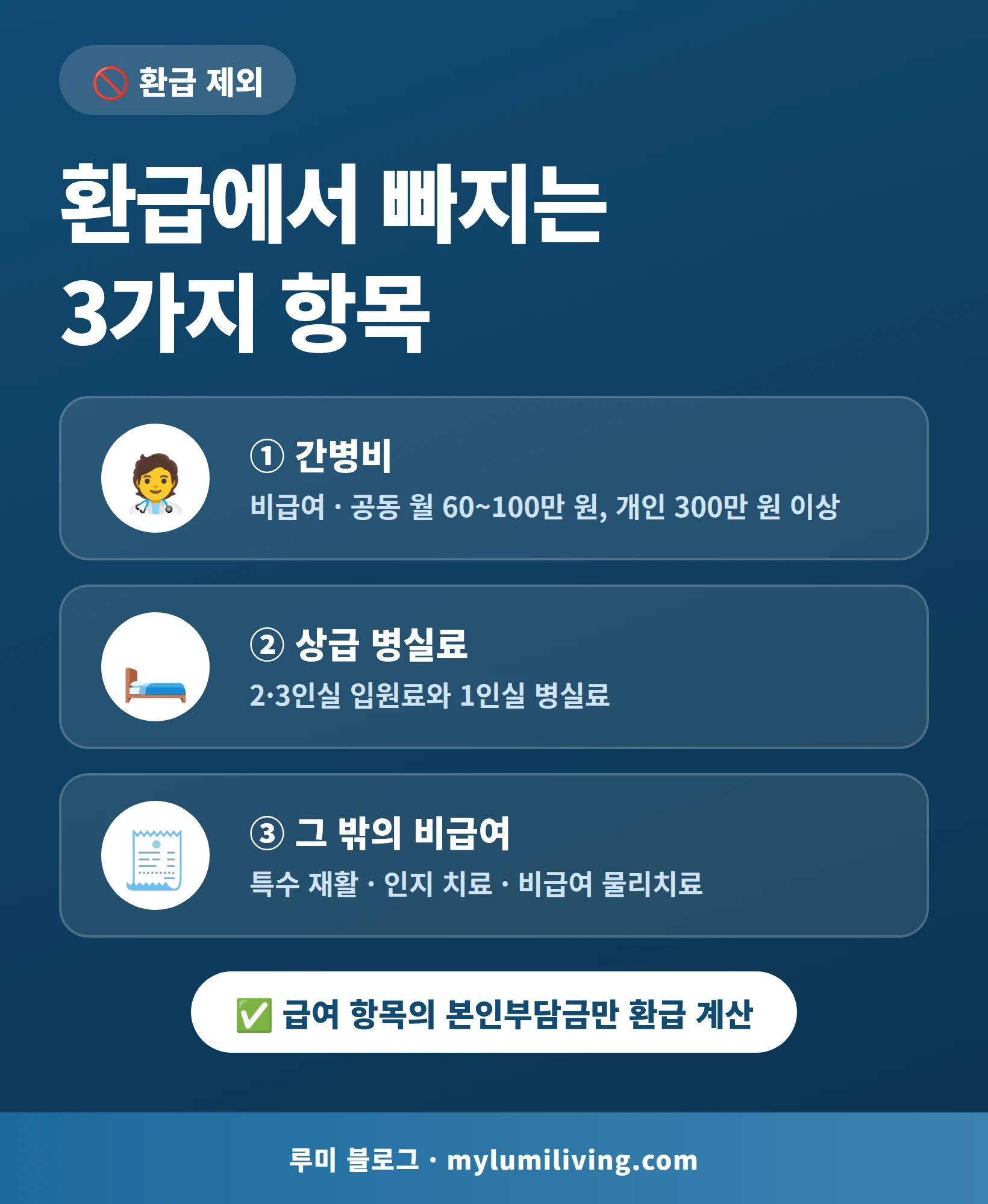 본인부담상한제 환급 제외 항목 간병비 상급 병실료 비급여 인포그래픽
