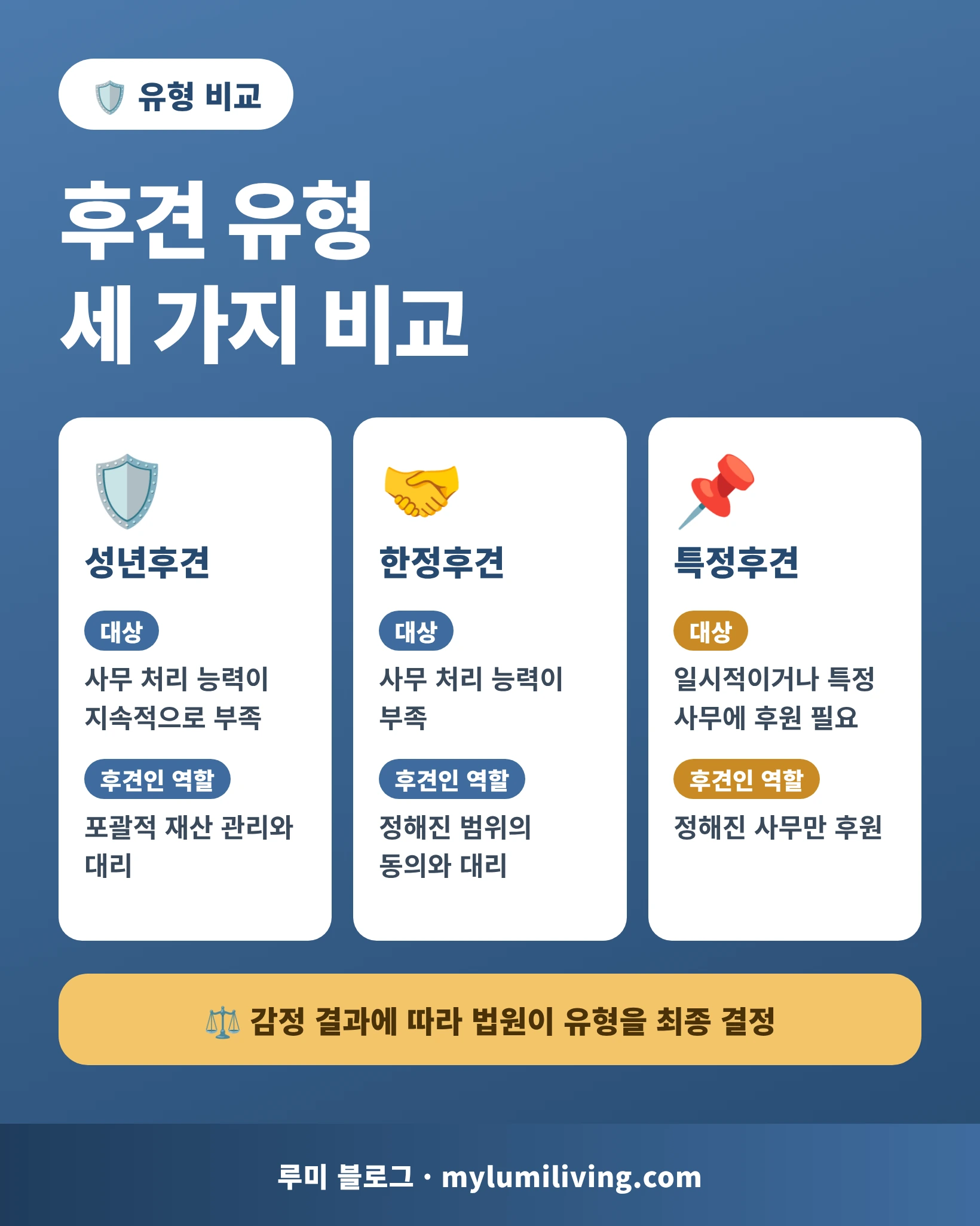 성년후견 한정후견 특정후견 유형 비교 인포그래픽