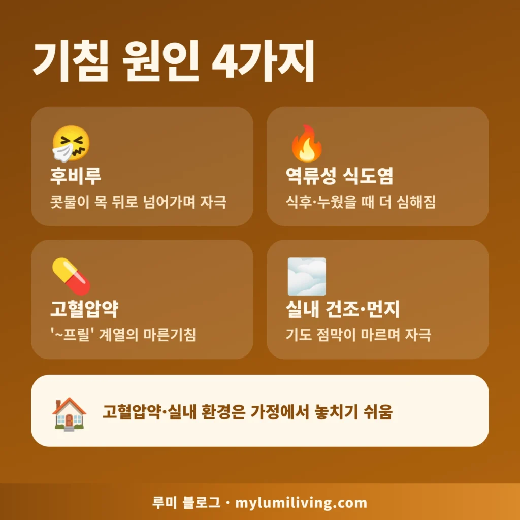 노인 만성 기침의 대표 원인 4가지 인포그래픽