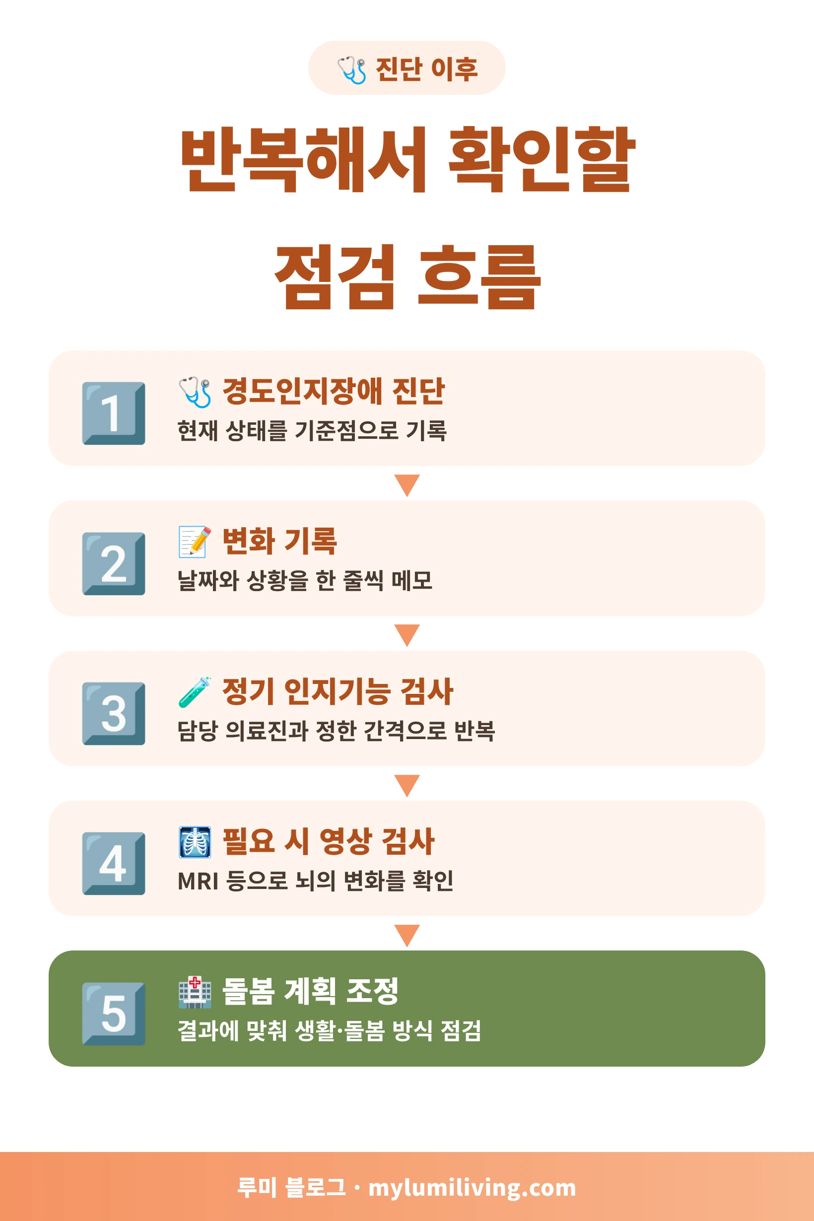 경도인지장애 진단 후 점검 흐름 인포그래픽
