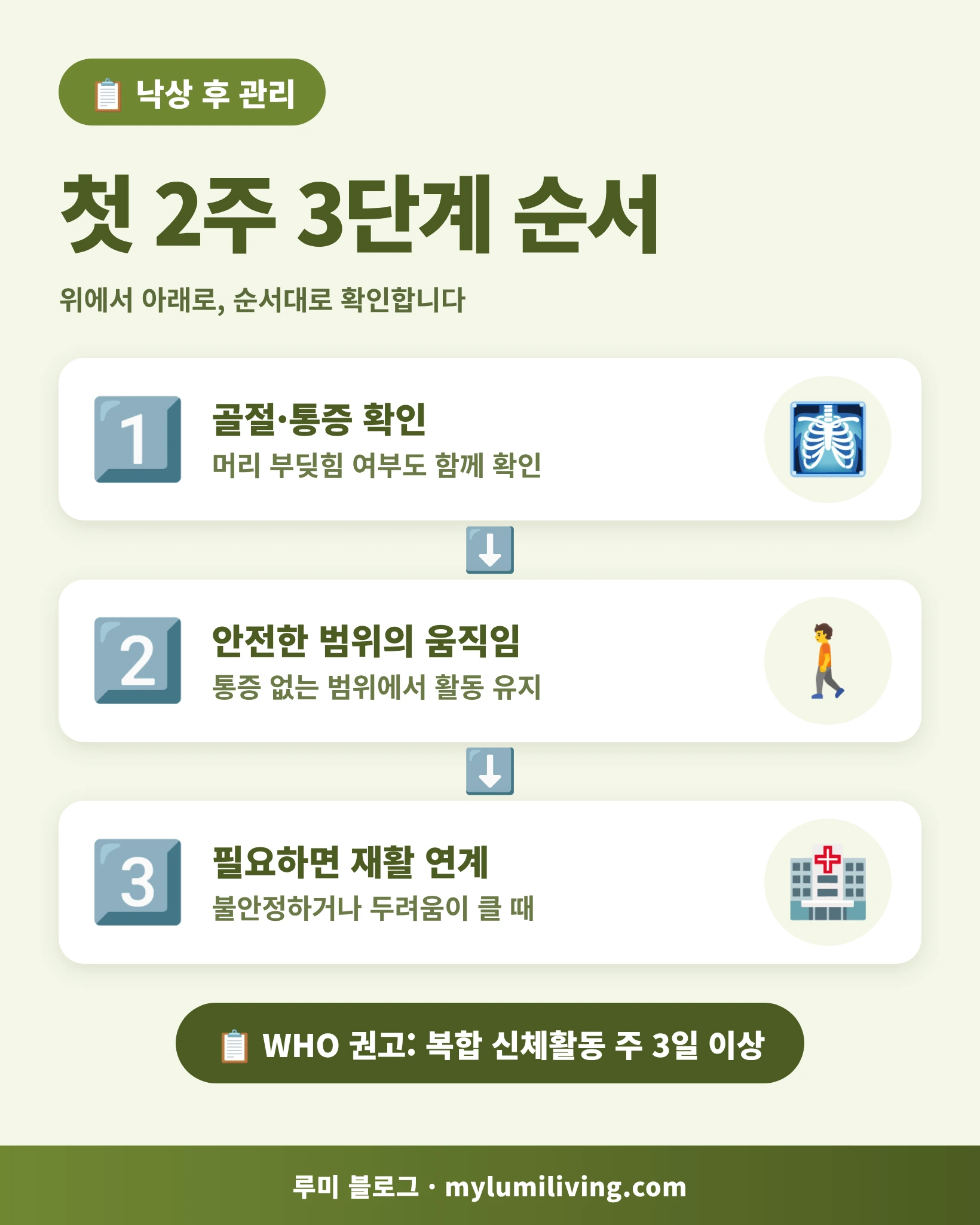낙상 후 관리 첫 2주 골절 확인, 움직임 유지, 재활 연계 3단계 순서도