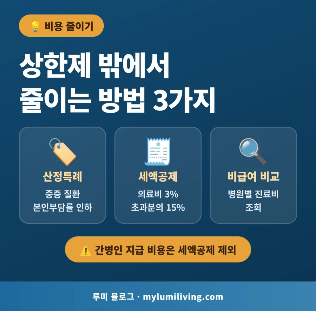 상한제 밖에서 요양병원 비용을 줄이는 방법 산정특례 세액공제 인포그래픽