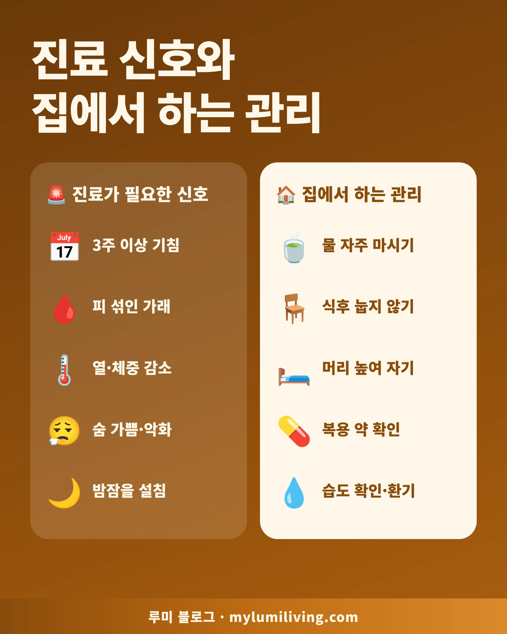 병원 진료가 필요한 기침 신호와 집에서 하는 관리 체크리스트 인포그래픽